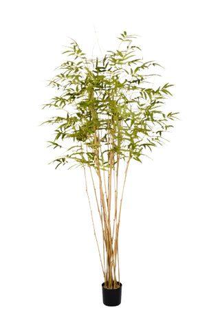 TR10823 BAMBOO TREE,7'-2P