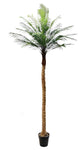 TR10835 PHOENIX PALM TREE,9'-2P