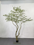 TR10912 CREPE MYRTLE LEAF TREE  10'