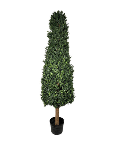 UVT1017 BOXWOOD CONE TREE(UV),6'-1P