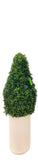 UVT1081 BOXWOOD CONE TREE (UV),D15"x38"H
