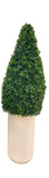 UVT1080 BOXWOOD CONE TREE (UV),D19"x4'H