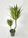 UVT1108 POTTED AGAVE (UV),37"