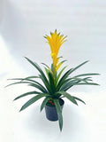 UVT1110 POTTED BROMELIAD (UV),24"