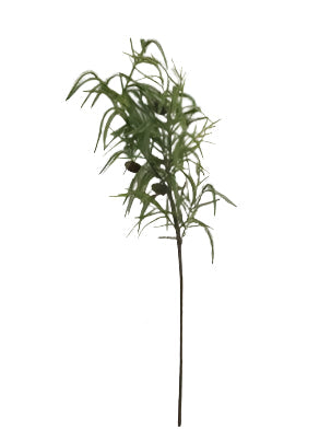 XM14402 PINE/PINECONE BUNDLE,40in-12P