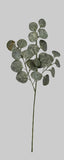 XM14496 DOLLAR EUCALYPTUS SPRAY w/GLITTER,33"