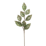 XM14681 GLITTER LAUREL LEAF SPRAY