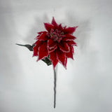 XM14741 VELVET/ICED POINSETTIA SPRAY,24"