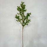 XM14752 CRYSTAL CORAL SPRAY,30"