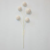 XM14808 GLITTER SNOW BALLx5 SPRAY,D8x19.5"