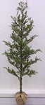 COPY-OF-XM30051-POTTED-PINE-TREE-W-SNOW-25 PINE TREE W/ BURLAP, 7'