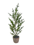 XM30062 POTTED PINE TREE,40in-2/8P