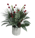 XM30088 POTTED MIXED PINE/FERN/BERRY 13"