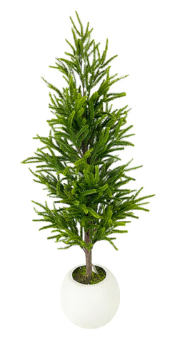 XM30091 POTTED PINE TREE,34.5"