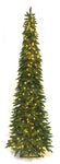 XM40082 MOUNTAIN PINE SLIM TREE x550L D35inx9'