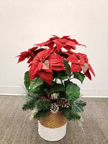 Z10092 MIXED POINSETTIA ARR,24in-9P/24.01'