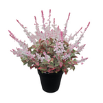 PA10354 POTTED LAVENDER,27"