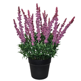 PA10351 POTTED AMARANTH,17.5"