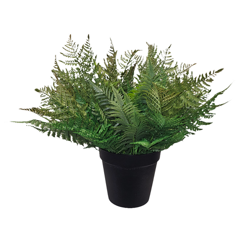 PM10379 POTTED FOREST FERN,29"