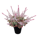 PA10354 POTTED LAVENDER,27"