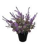 PA10354 POTTED LAVENDER,27"