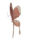 AC10406 GIANT BUTTERFLY,22in-8/24P