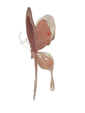 AC10406 GIANT BUTTERFLY,22in-8/24P