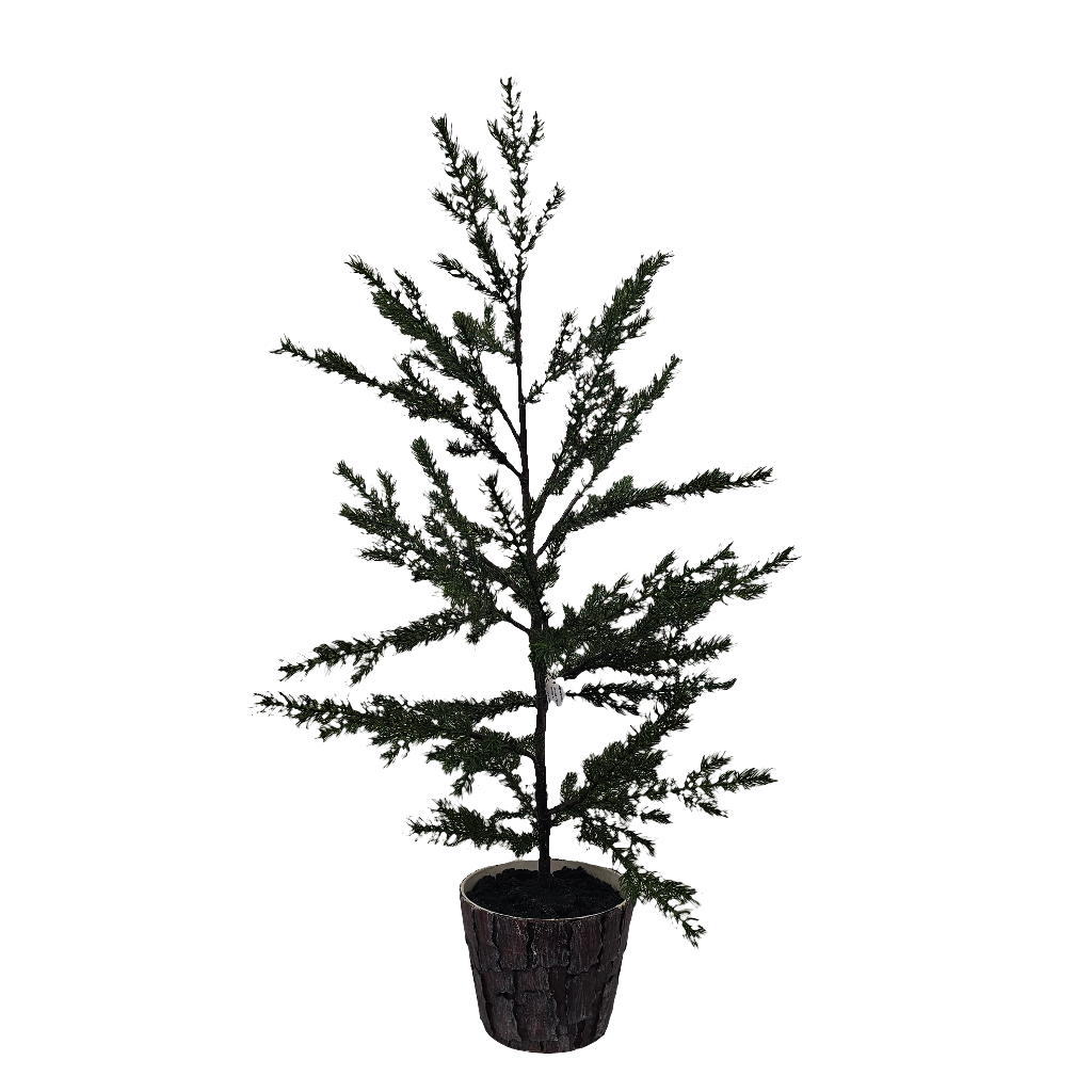 XM30062 POTTED PINE TREE,40in-2/8P – Green Import Limited