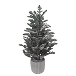 XM30051 POTTED PINE TREE w/SNOW,25"