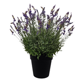 PA10353 POTTED LAVENDER,27"