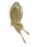 AC10406 GIANT BUTTERFLY,22in-8/24P