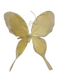 AC10406 GIANT BUTTERFLY,22in-8/24P