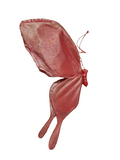 AC10406 GIANT BUTTERFLY,22in-8/24P