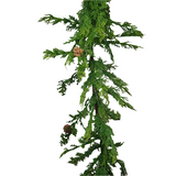 XM13046 CEDAR w/PINECONE GARLAND,10'