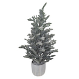 XM30051 POTTED PINE TREE w/SNOW,25"