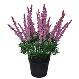 PA10351 POTTED AMARANTH,17.5"