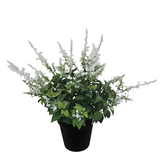 PA10354 POTTED LAVENDER,27"