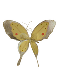 AC10406 GIANT BUTTERFLY,22in-8/24P