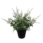 PA10354 POTTED LAVENDER,27"