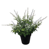 PA10354 POTTED LAVENDER,27"