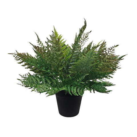 PM10378 POTTED FOREST FERN,27"