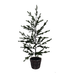 XM30062 POTTED PINE TREE,40in-2/8P