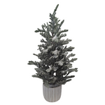 XM30051 POTTED PINE TREE w/SNOW,25"