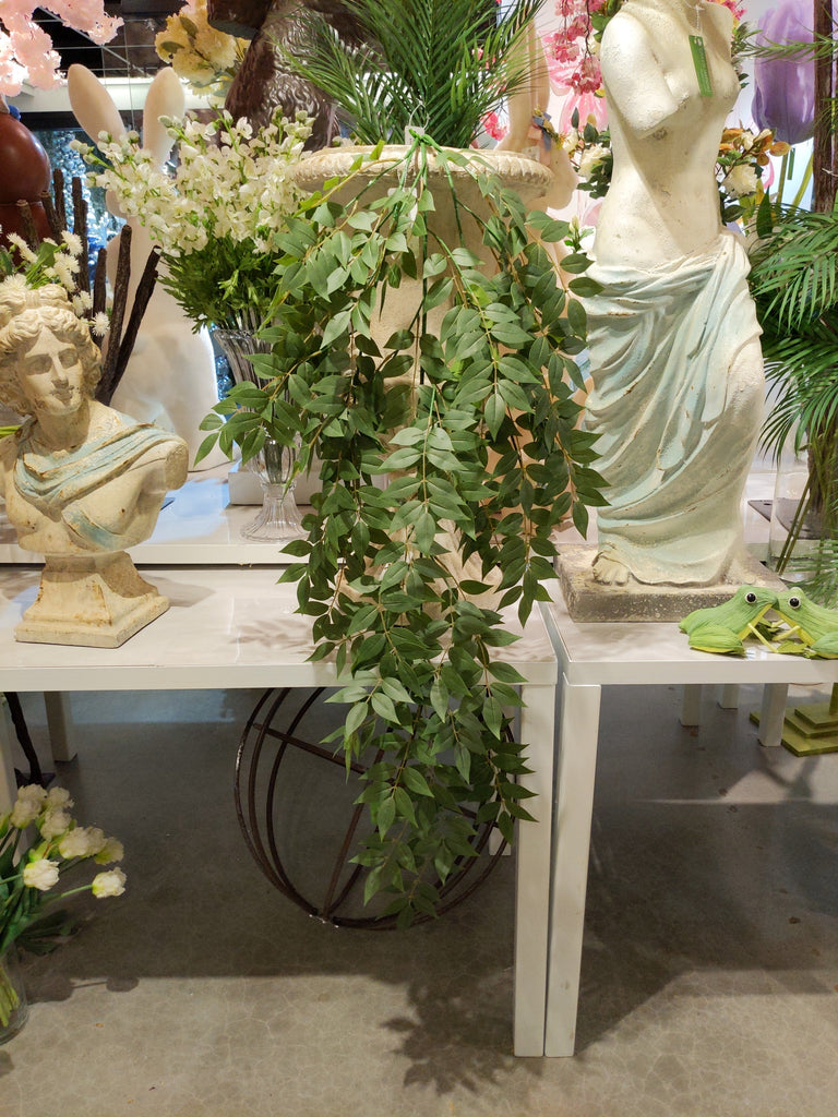 hanging bush plant BG10627 SMILAX HANGING BUSH,53" – Green Import Limited