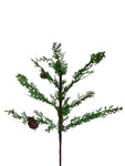 XM13044 CEDAR w/PINECONE SPRAY,20"