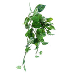 BG10521 IVY HANGING BUSH,27in-8P/32/7.65'