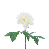 FL10808 PEONY SPRAY,26in-12P/96/7.5'