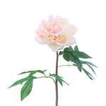 FL10808 PEONY SPRAY,26in-12P/96/7.5'