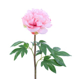 FL10808 PEONY SPRAY,26in-12P/96/7.5'