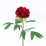 FL10808 PEONY SPRAY,26in-12P/96/7.5'